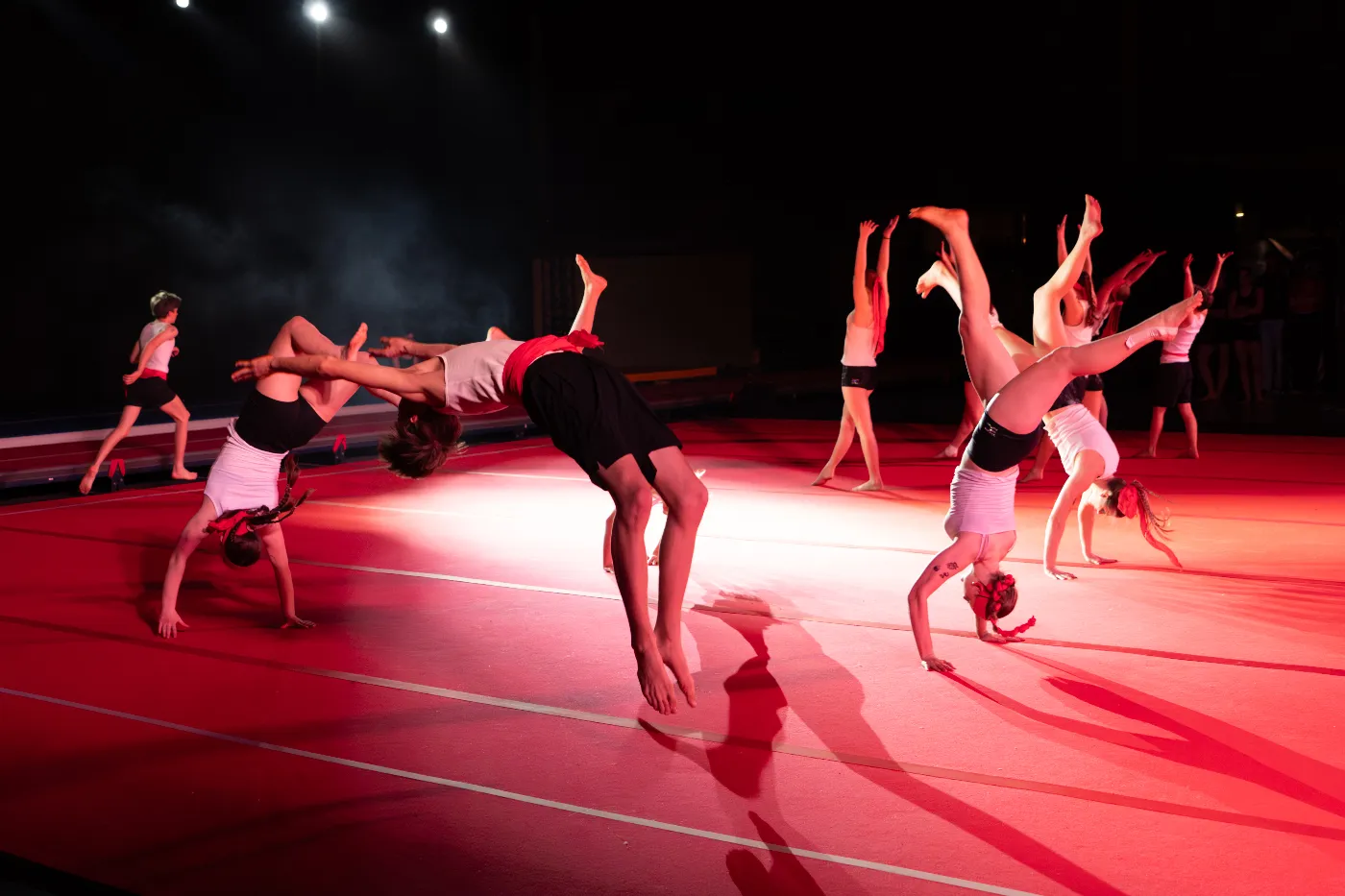 Turnshow De Gentiaan 2026 in Rijmenam – sportfotografie door Roggy's Visuals