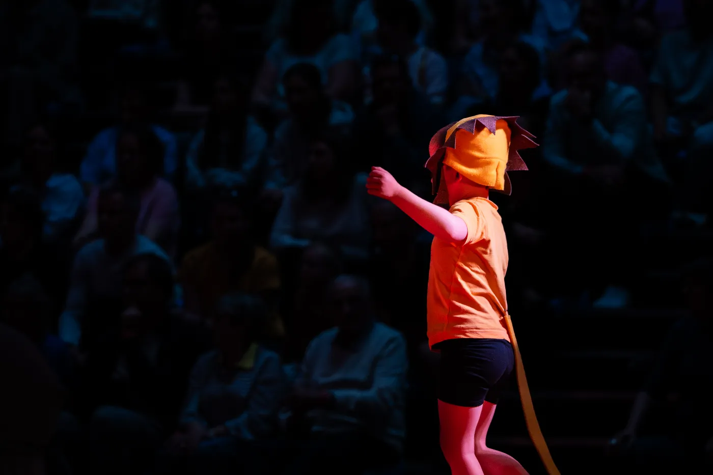 Turnshow De Gentiaan 2026 in Rijmenam – sportfotografie door Roggy's Visuals